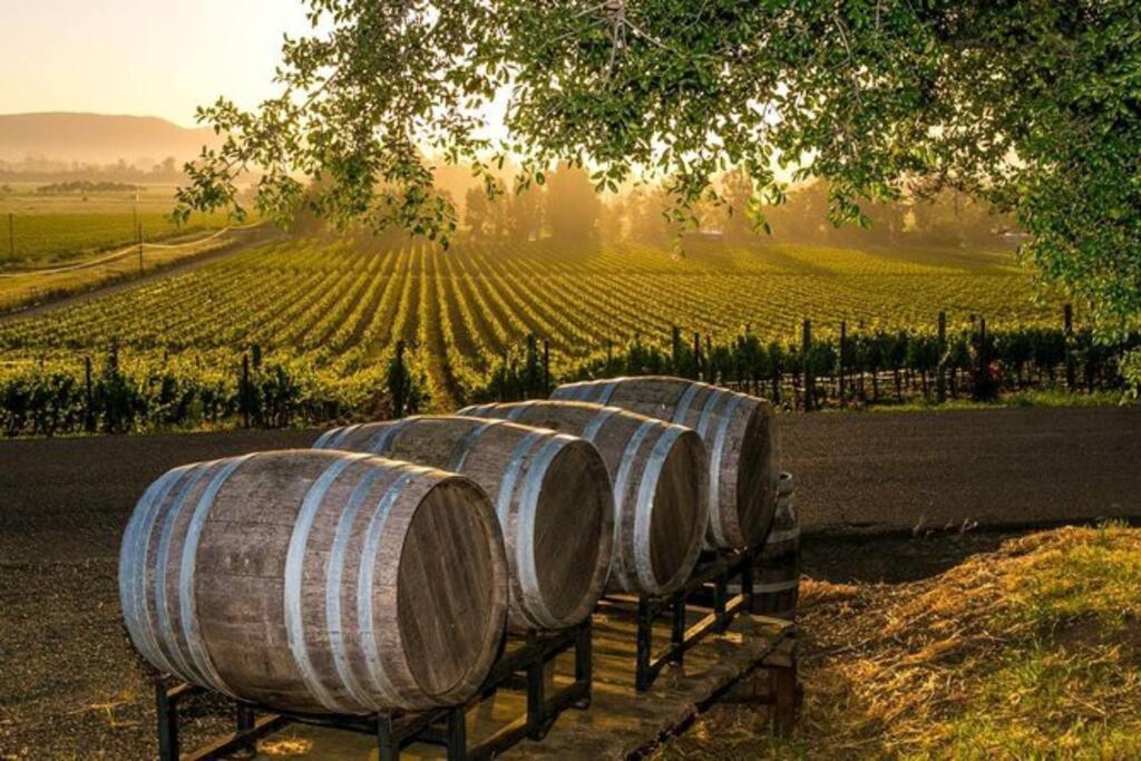 The Container Retreat @ 290 Wine Trail #10 Welcome Friends! Hye Εξωτερικό φωτογραφία